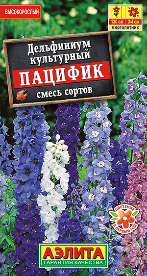 Дельфиниум Пацифик, смесь сортов Дельфиниум Пацифик, смесь сортов