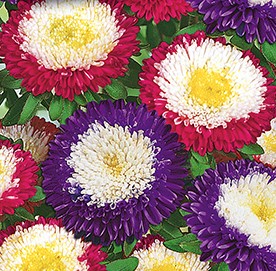 ����� ��������� ���������, ����������� ����� ������ (������� � ����� ������� � ���������� � ����� �������)