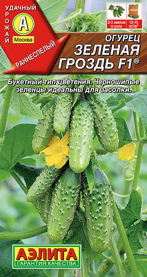 Огурец Зеленая гроздь F1 ® Огурец Зеленая гроздь F1 ®