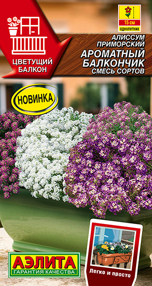 Алиссум Ароматный балкончик, смесь сортов Алиссум Ароматный балкончик, смесь сортов