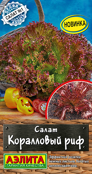 ����� ���������� ���