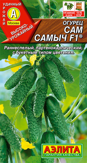 ������ ��� ����� F1 �