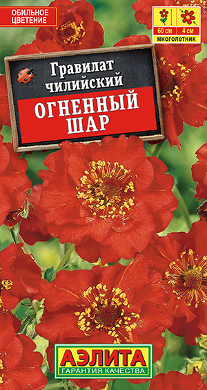 �������� �������� ���