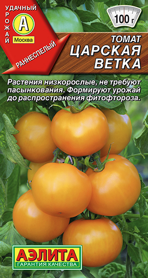 ����� ������� �����