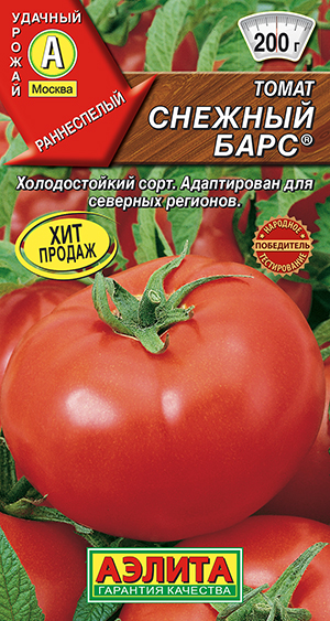 ����� ������� ����