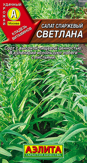 ����� �������� ���������