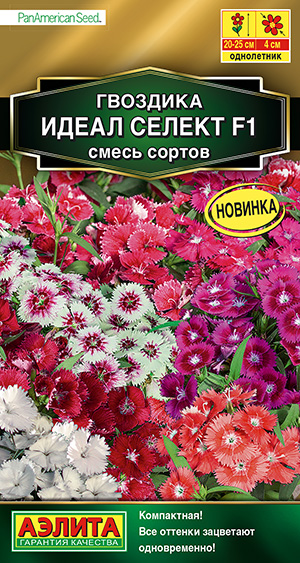 �������� ��������� ����� ������ F1, ����� ������