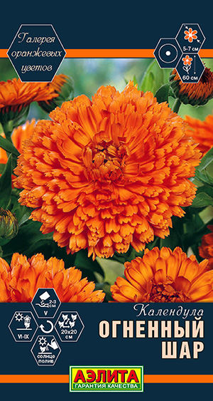 Календула Огненный шар Календула Огненный шар