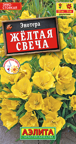 Энотера Желтая свеча Энотера Желтая свеча