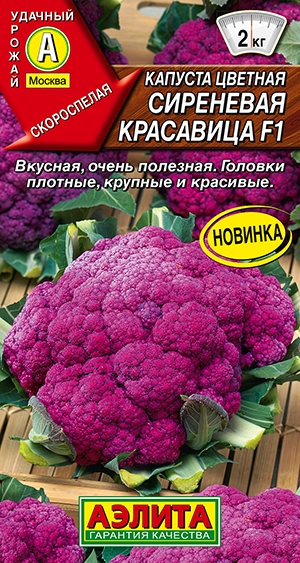 Капуста цветная Сиреневая красавица F1