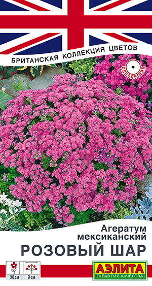 Агератум мексиканский Розовый шар Агератум мексиканский Розовый шар