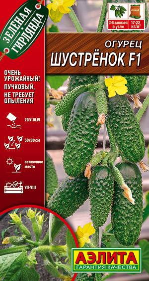 Огурец Шустренок F1 Огурец Шустренок F1