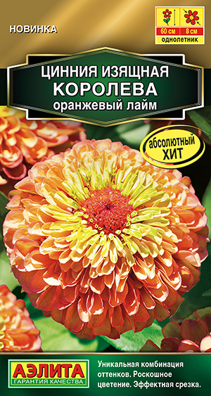 ������ �������� ��������� ����