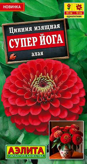 Цинния Супер йога алая Цинния Супер йога алая