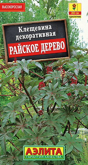 Клещевина Райское дерево Клещевина Райское дерево