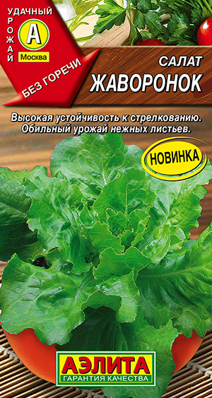 ����� ���������