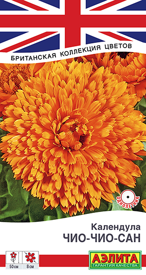 Календула Чио-Чио-сан Календула Чио-Чио-сан