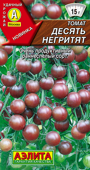 ����� ������ ��������