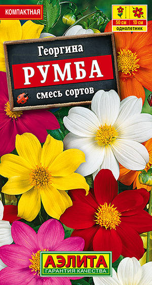 Георгина Румба, смесь сортов Георгина Румба, смесь сортов