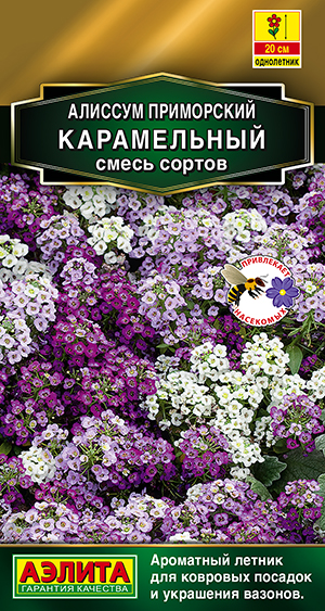 Алиссум Карамельный, смесь сортов Алиссум Карамельный, смесь сортов