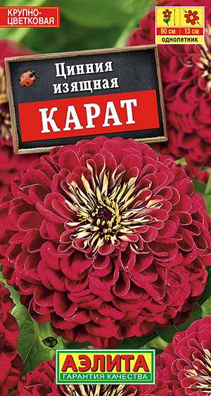 ������ �����