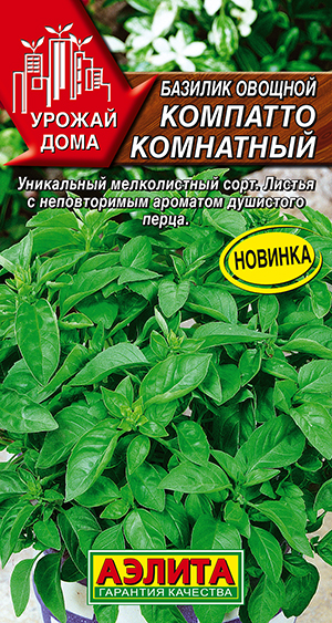 Базилик овощной Компатто комнатный