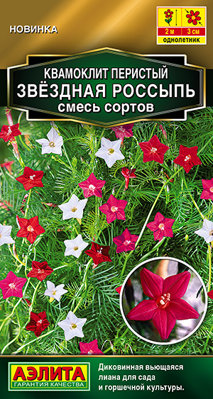 Квамоклит перистый Звездная россыпь, смесь сортов Квамоклит перистый Звездная россыпь, смесь сортов