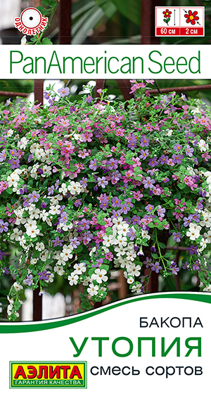 Бакопа Утопия, смесь сортов Бакопа Утопия, смесь сортов