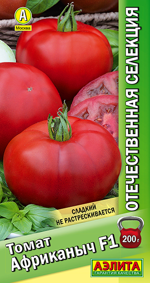 ����� ��������� F1