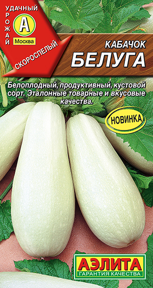Кабачок белоплодный Белуга Кабачок белоплодный Белуга