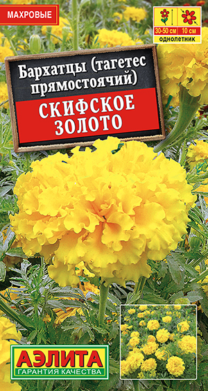 �������� �������� ������ ������������