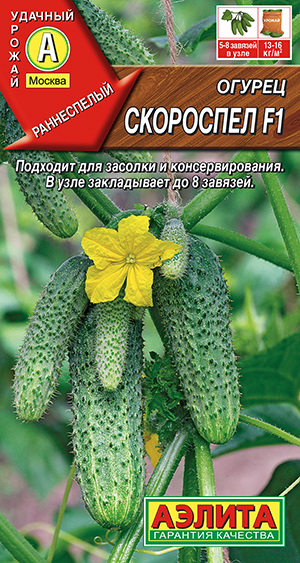 Огурец Скороспел F1 Огурец Скороспел F1