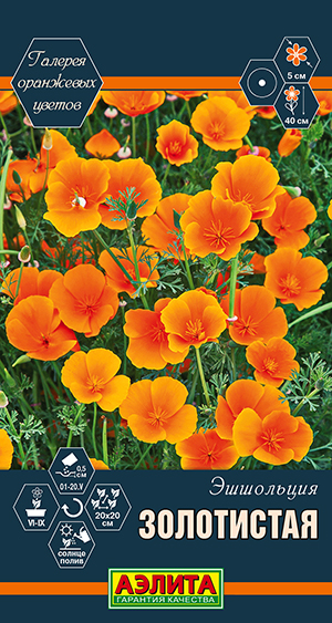 ��������� ����������