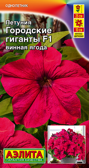 Петуния Городские гиганты F1 винная ягода Петуния Городские гиганты F1 винная ягода