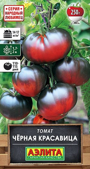 ����� ������ ���������