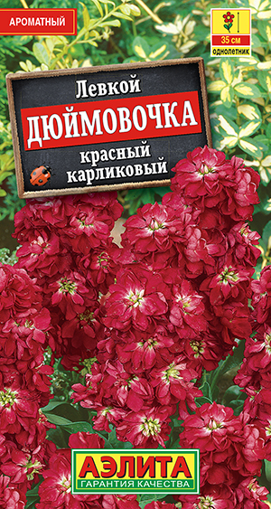 Левкой карликовый Дюймовочка красный Левкой карликовый Дюймовочка красный