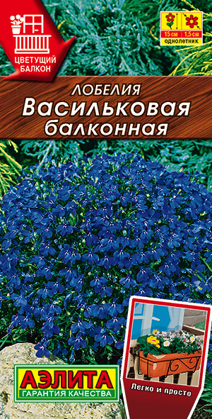 Лобелия Васильковая балконная Лобелия Васильковая балконная