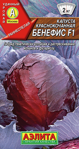 ������� �/� ������� F1