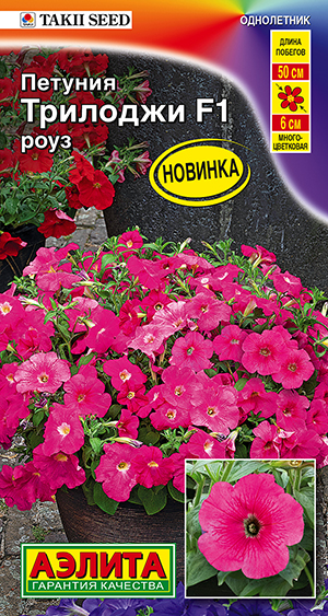 Петуния Трилоджи F1 роуз полуамельная Петуния Трилоджи F1 роуз полуамельная