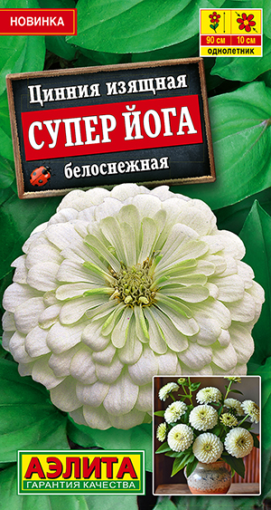 Цинния Супер йога белоснежная Цинния Супер йога белоснежная
