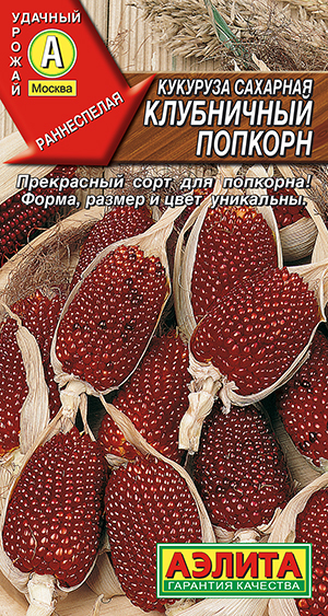 �������� �������� ���������� �������