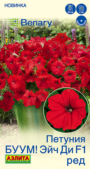Петуния БУУМ! Эйч Ди F1 Ред многоцветковая Петуния БУУМ! Эйч Ди F1 Ред многоцветковая