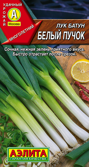 Лук батун Белый пучок Лук батун Белый пучок