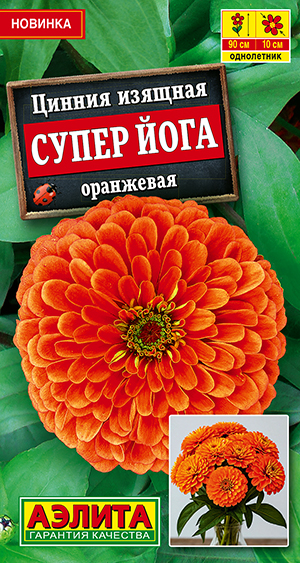 Цинния Супер йога оранжевая Цинния Супер йога оранжевая