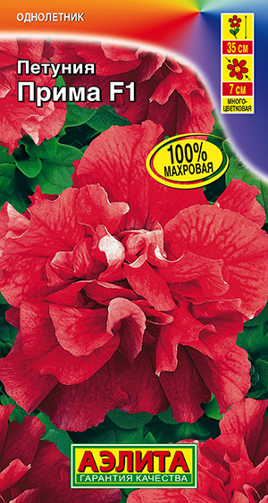 Петуния Прима F1 многоцветковая махровая Петуния Прима F1 многоцветковая махровая