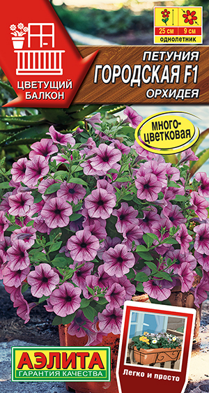 Петуния Городская F1 орхидея Петуния Городская F1 орхидея