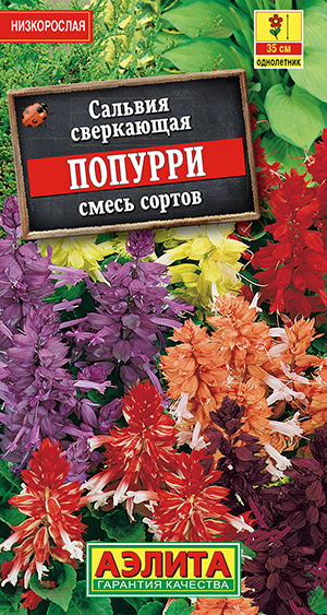 Сальвия Попурри, смесь сортов Сальвия Попурри, смесь сортов