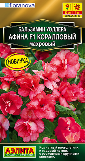 Бальзамин Афина F1 коралловый махровый Бальзамин Афина F1 коралловый махровый