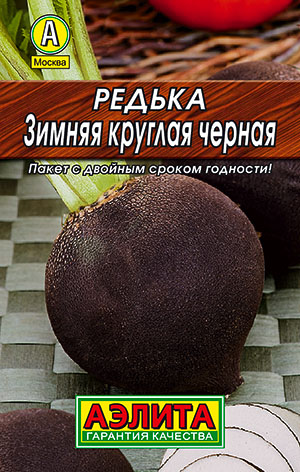 Редька Зимняя круглая черная Редька Зимняя круглая черная