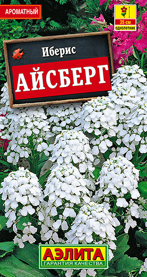 Иберис Айсберг однолетний Иберис Айсберг однолетний